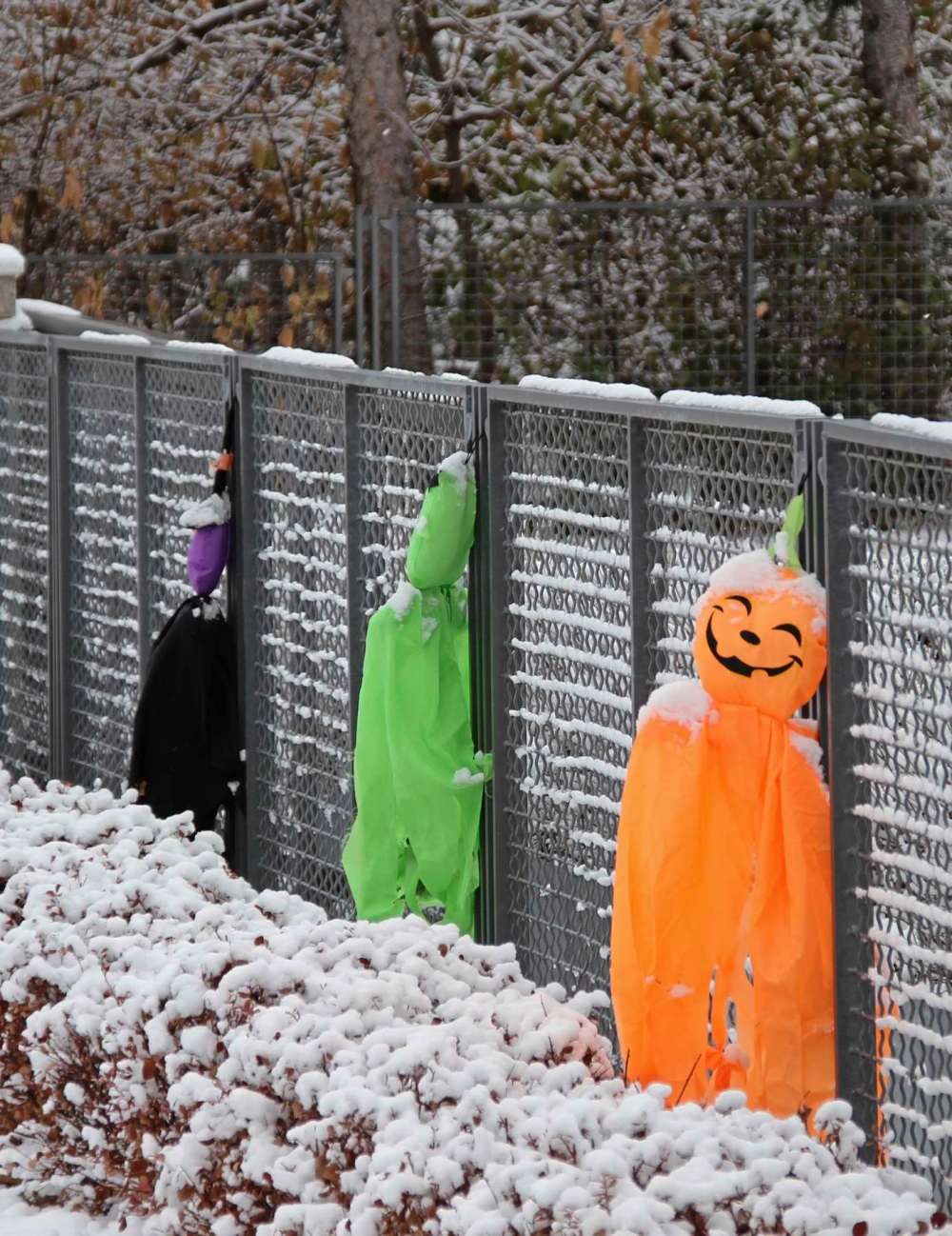 Sou'wester
Halloween decorations at a house on Wellington Crescent.