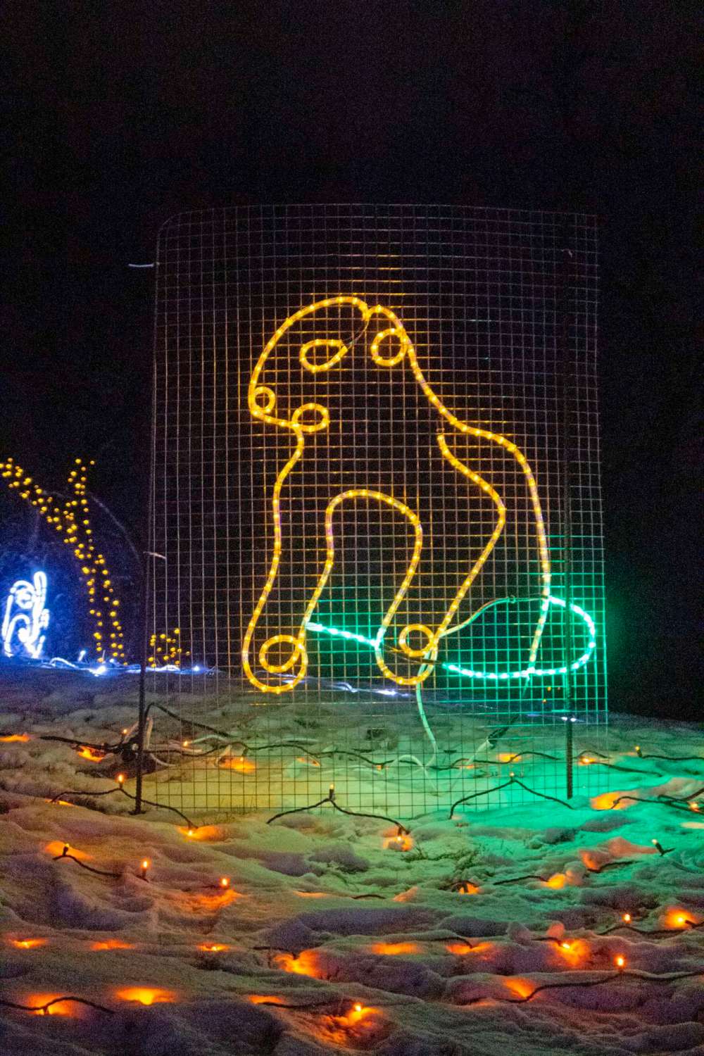 Zoo Lights Festival dazzles residents Our Communities