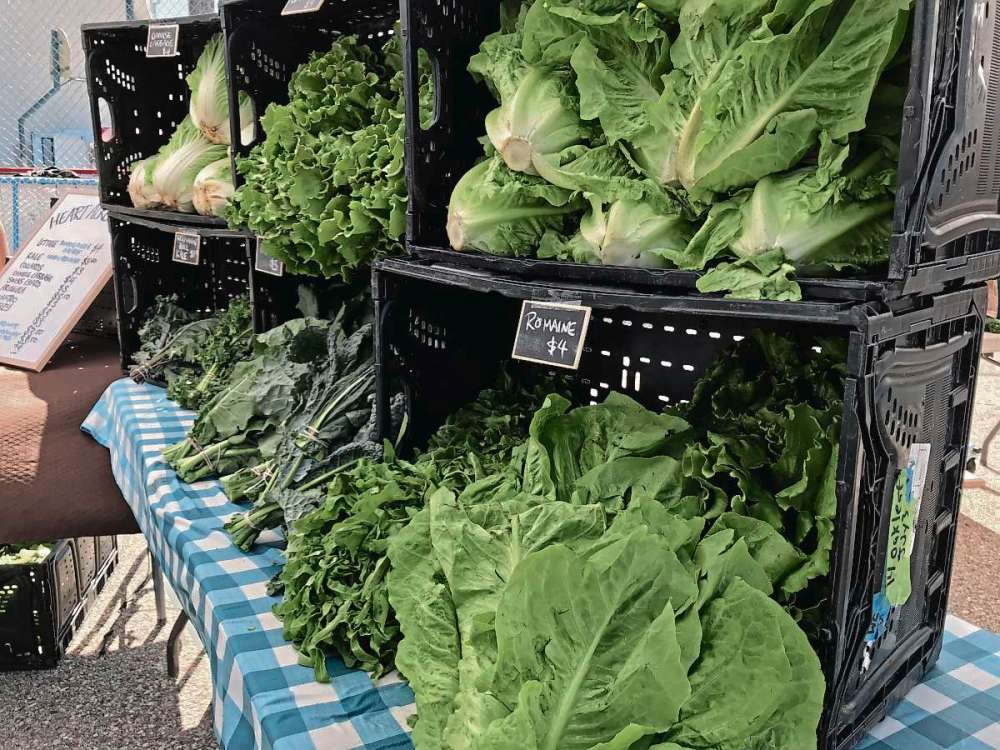 South Osborne Farmers Market bumping Our Communities