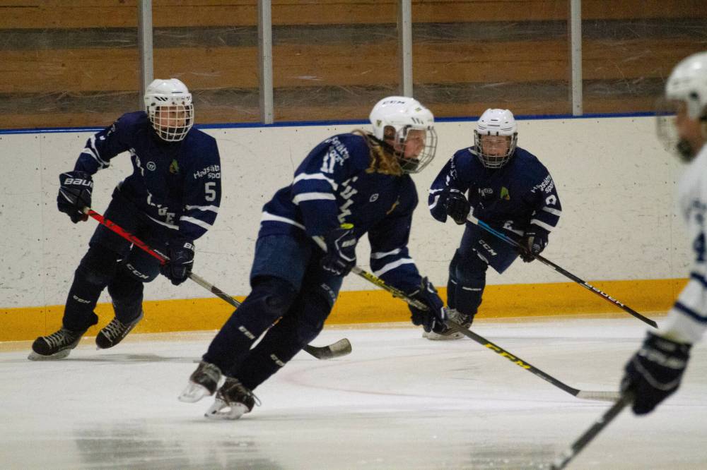 Supplied photo
The Tullinge TP Hockey Club, of Botkyrka, Sweden, has a close connection to the local Winnipeg hockey scene — through a longstanding friendship between one of its coaches and the head of the St. Vital Minor Hockey Association.