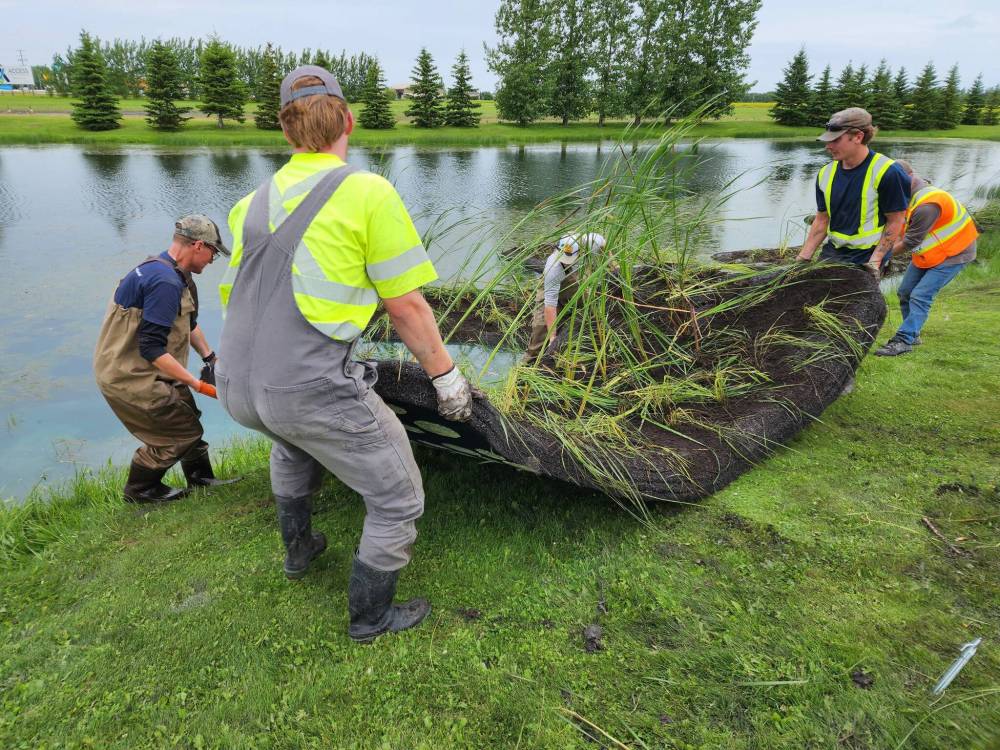 Supplied photo by Joey Simoes
A crew from the International Institute for Sustainable Development built and installed floating wetlands in stormwater retention ponds in the RM of Springfield recently. The project is similar to one launched in 2021 in the RM of East St. Paul.
