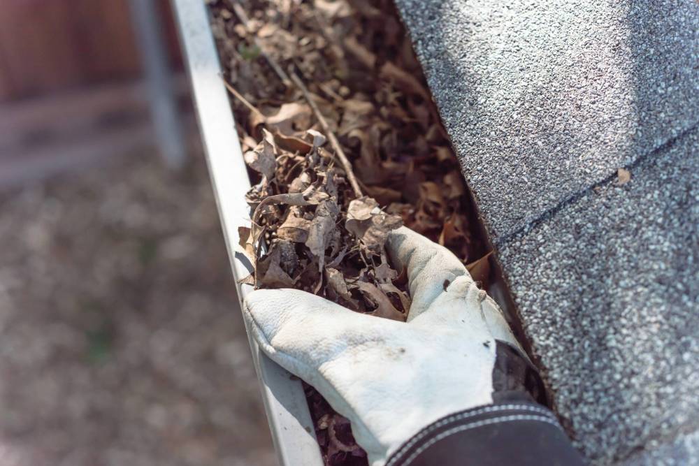 Adobe
It’s fall clean-up time and if you’re hiring someone to do the work for you, or perhaps your elderly relatives, you should ensure you won’t be scammed. The Better Business Bureau can help.