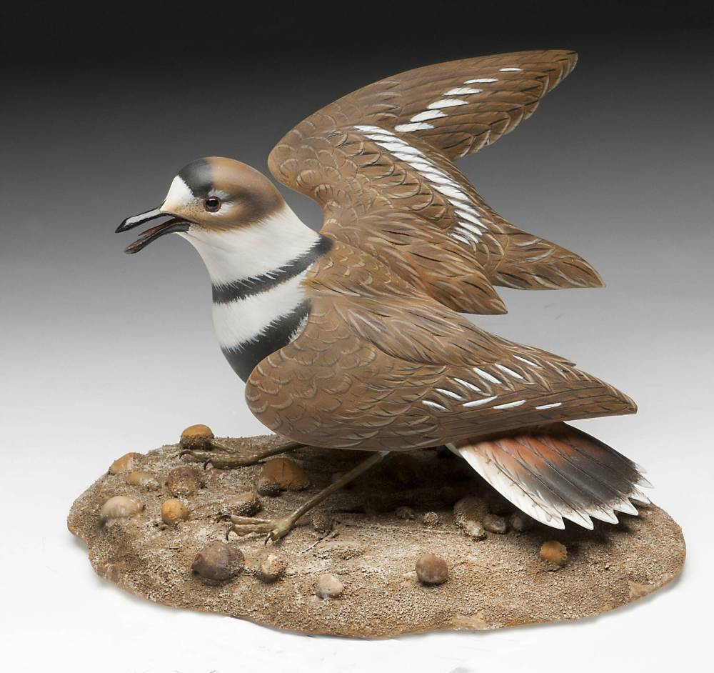 Supplied photo
                                A first-place carved sculpture of a kildeer by Bob Lavender. This piece was displayed at last year’s Prairie Canada Carvers’ Association show and competition. This year’s event will take place April 12 and 13 this year.