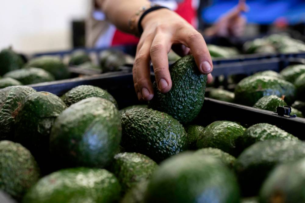 File photo
Sometimes purchasing a bag of avocados or pears is cheaper than purchasing them individually.