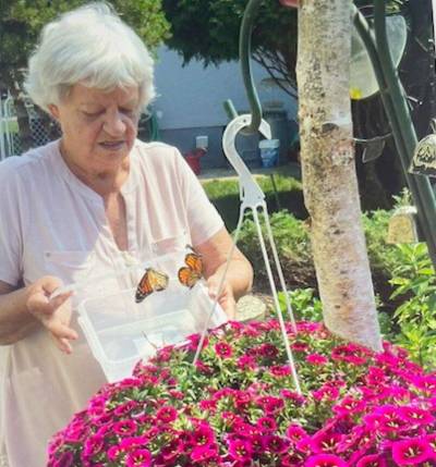 Supplied photo
                                Helen Hogue is pictured here releasing monarch butterflies in her St. James garden.