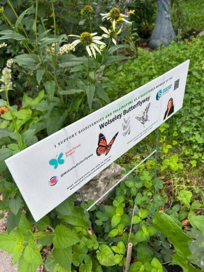 Supplied photo
                                Wolseley is among a number of official David Suzuki Foundation Butterflyways in Winnipeg.