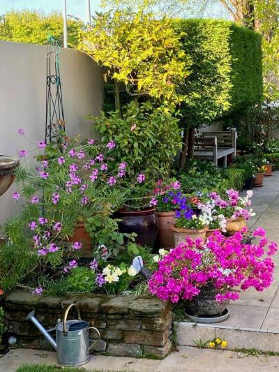 Photo by Leslie Pitchford
                                Community correspondent Leslie Pitchford enjoys spending time in her garden each summer.