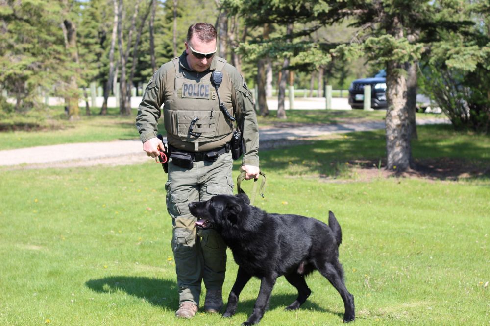 Dogged new addition bolsters RCMP services The Carillon