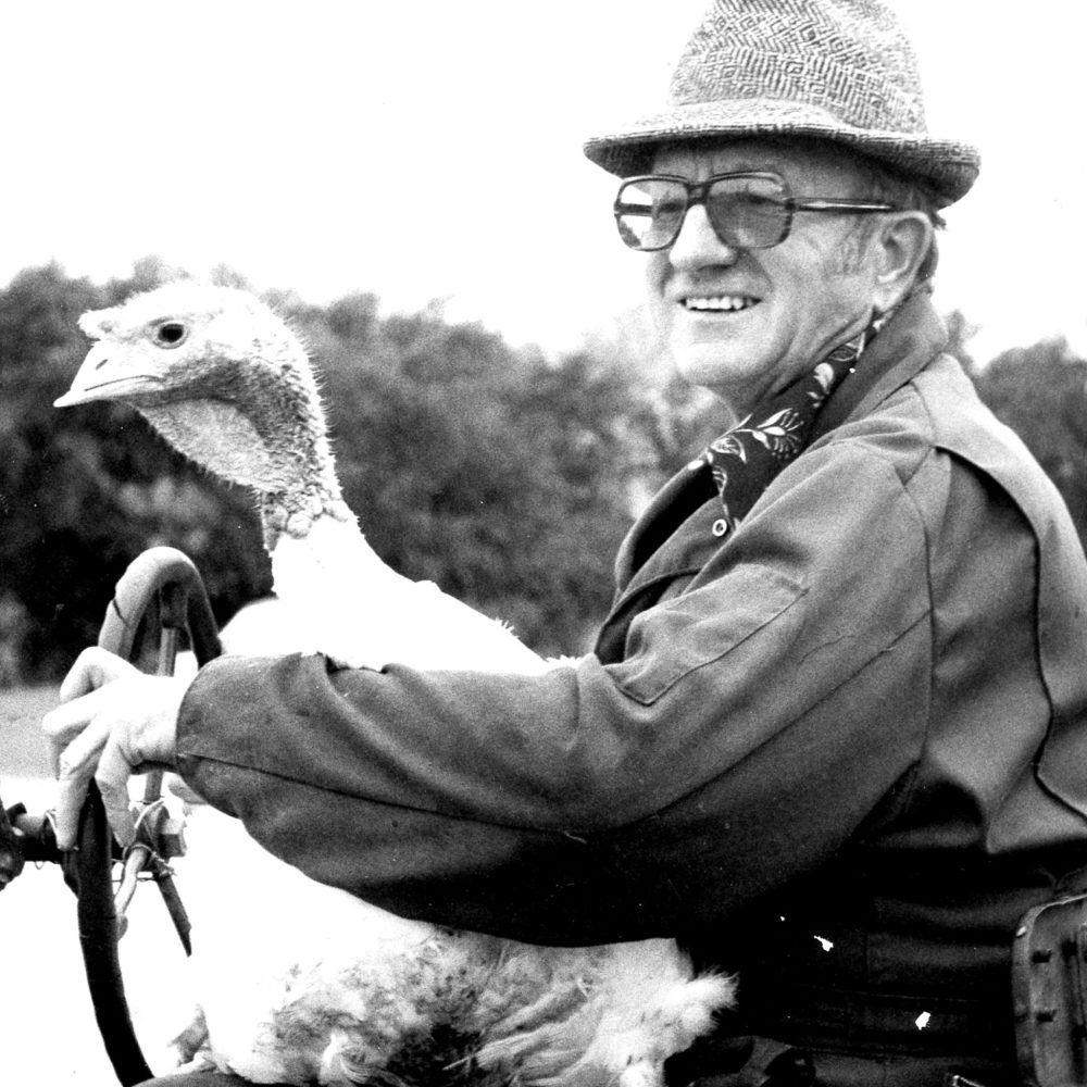 Carillon Arşivi Greenridge Çiftliği'nden Dave Lewin, 1981'de Hannover'deki RM Yüzüncü Yıl Geçit Töreni sırasında Blumenort'taki Center Bulvarı'nda bir kuşu uçuruyor.