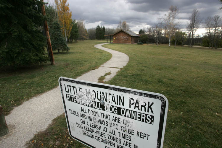 Rezoning of farmland to make way for CentrePort Winnipeg Free Press