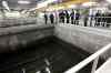 Wayne Glowacki / Winnipeg Free Press Files
Guests tour the area where water moves through the biologically activated carbon filters at the opening of the City of Winnipeg's drinking water treatment plant at the Deacon Reservoir in 2010.