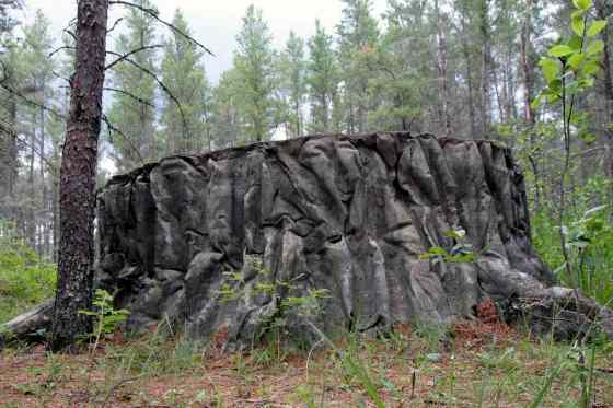 Janek Lowe / Winnipeg Free Press FilesBuilt in the 1960s, this fake tree stump in the middle of the woods was never used for its intended purpose, but it has still been a destination spot for decades.