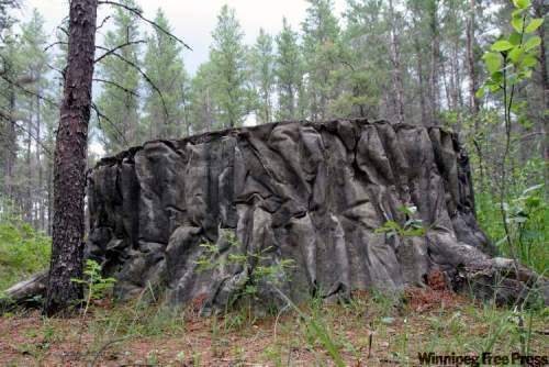 JANEK LOWE / WINNIPEG FREE PRESS
The not-so-elusive giant stump is only about a 100 metres off the beaten path.