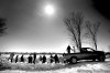 CNS
Phil Hossack / winnipeg free press
A line of sandbaggers works under clear skies Friday on the Red River to protect Lyle Thompson�s home at Lockport from the rising waters.