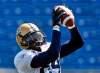 Winnipeg Free Press archives
Greg Carr makes catch at a Bomber practice in July, 2011.