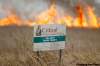 TREVOR HAGAN / WINNIPEG FREE PRESS
A grass fire burns east of Tolstoi, and south of Stuartburn. Four waterbombers circled the area to try to extinguish flames that stretched along the southern part of the province Friday.