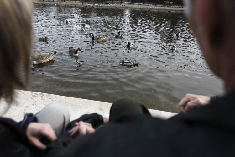 1.5million donation made to Assiniboine Park’s Duck Pond Winnipeg