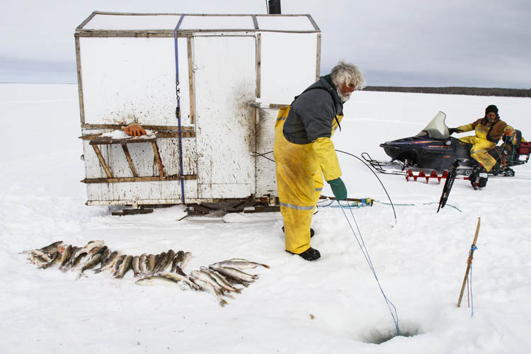 commercial fishing nets manitoba Want not, Waste lot: Fishers throw out millions of kilos of edible fish a  year because there is no viable market – Winnipeg Free Press