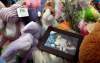 Phil Hossack / Winnipeg Free Press  
Jenna Cadorath says Anna Gibson (below) was 'so proud' of her duck costume last fall. A photo of Anna wearing the outfit was left at the memorial for the Gibson children.
