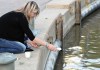 Mike Deal / Winnipeg Free Press
A mourner attending a candlelight vigil in memory of Lisa Gibson and her two children, two-year-old Anna and three-month-old Nicholas, throws white flowers into the Assiniboine River at The Forks Thursday evening.