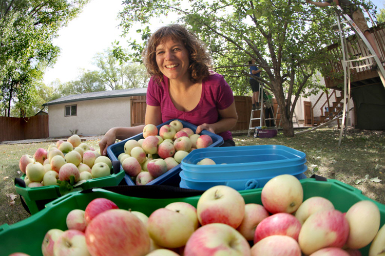 Solution for surplus produce Winnipeg Free Press
