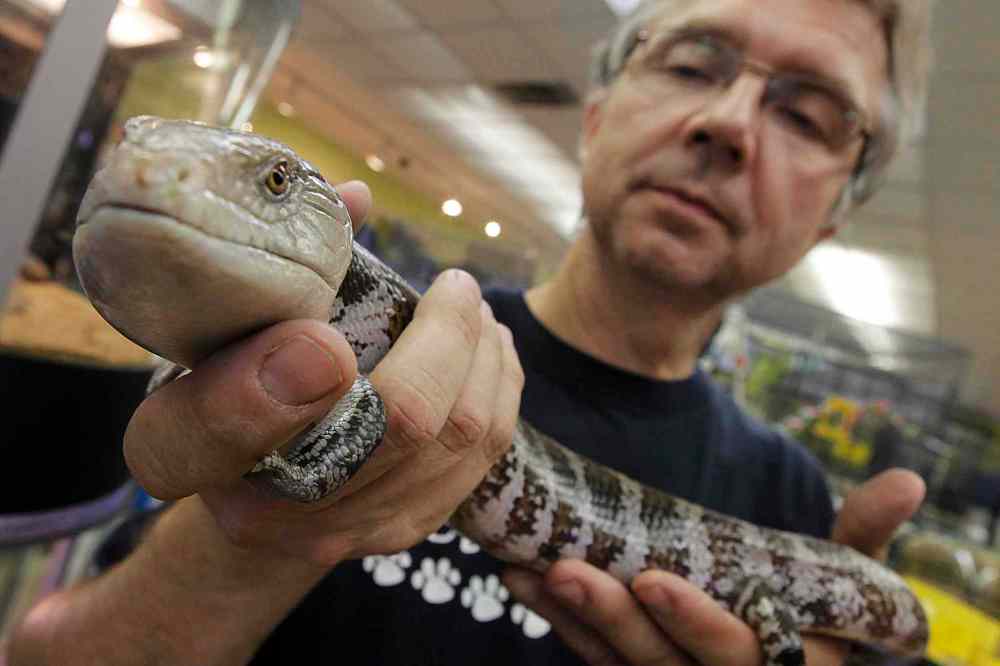 Awareness drive sought on exotic pets Winnipeg Free Press