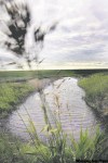 PHIL.HOSSACK@FREEPRESS.MB.CA
Runoff drains from a wheat field near Domain.