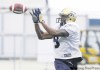 MIKE.APORIUS@FREEPRESS.MB.CA 
Craphonso Thorpe hopes he can provide the Blue some instant offence with his kick and punt returns, a craft he honed for several years in the NFL.