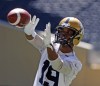 KEN GIGLIOTTI / WINNIPEG FREE PRESS
Bombers receiver Aaron Kelly expects to play in Montreal, even though he was hurt in practice earlier this week.