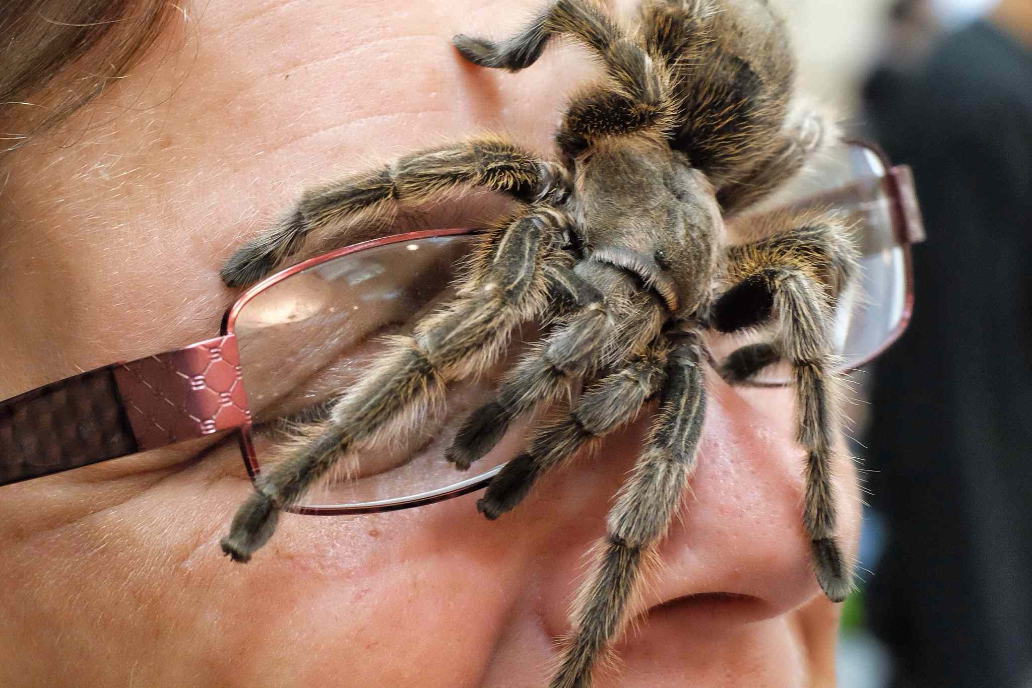 No reptile dysfunction Winnipeg Free Press