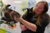 BORIS MINKEVICH / WINNIPEG FREE PRESS
Winnipeg Humane Society adoption manager Judy Dean pets some friendly cats in the cat adoption area. The WHS is one of the rescue groups supporting cat licensing.