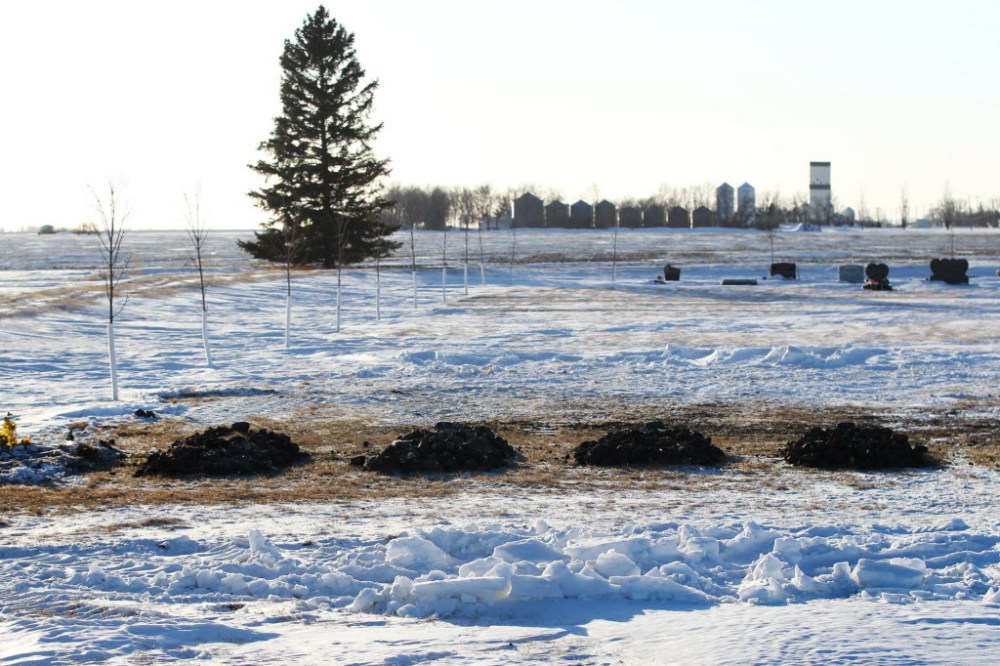 Mourners bid goodbye to Froese boys Winnipeg Free Press