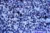 MIKE DEAL / WINNIPEG FREE PRESS files
Will the whiteout return?