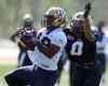 BORIS MINKEVICH / WINNIPEG FREE PRESS
Jhomo Gordon (left) hauls in a pass while being pestered by Shaquille Richardson at Blue Bombers training camp Wednesday.