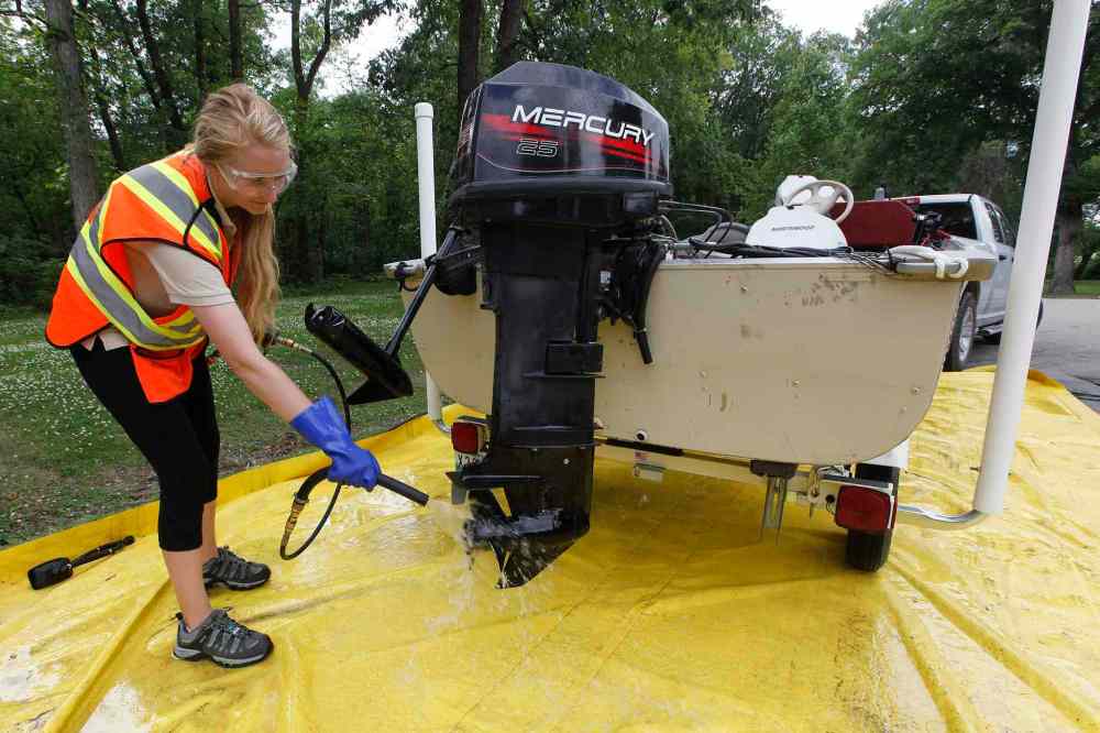 Eliminating zebra mussels from Lake Winnipeg ‘off the plate’ Winnipeg