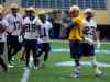 BORIS MINKEVICH / WINNIPEG FREE PRESS
Blue Bombers replacement QB Robert Marve (in yellow) works with his teammates during practice Wednesday. He will start Friday against the Toronto Argos.
