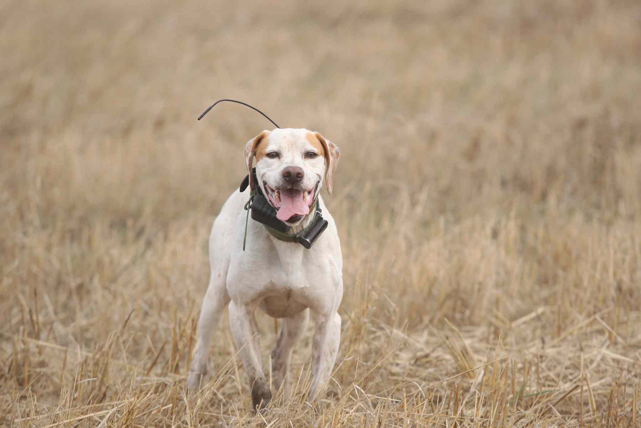 Training grounds Winnipeg Free Press