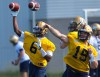 BORIS MINKEVICH / FREE PRESS files
Dominique Davis (6) throws the ball at a practice in September, alongside Matt Nichols (15), and Brian Brohm. Davis will get his first CFL start against the Argos this Friday.
