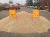 Matt Goerzen / Brandon Sun
Brandon Sun A pro-Canadian Wheat Board group dumped a load of wheat outside of incumbent Conservative Larry Maguire's campaign office.