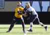 Ruth Bonneville / Winnipeg Free Press
Blue Bombers QB Matt Nichols hands the ball to RB Cameron Marshall at Investors Group Field Thursday.