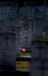 Phil Hossack / Winnipeg Free Press
Brookside Cemetery's Field of Honour