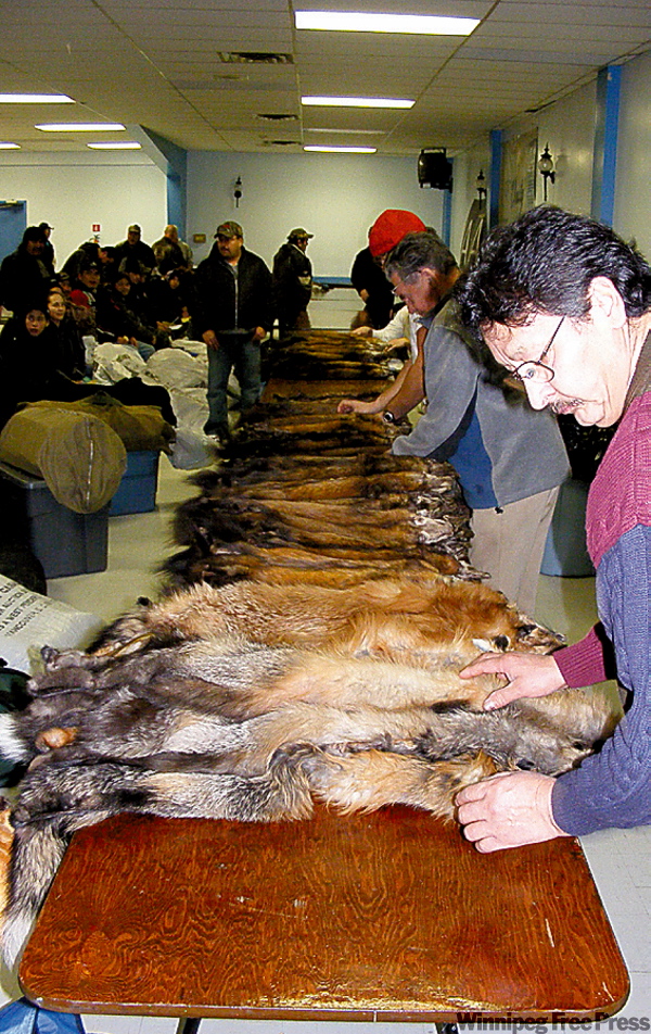 Trappers’ woes come from around globe – Winnipeg Free Press