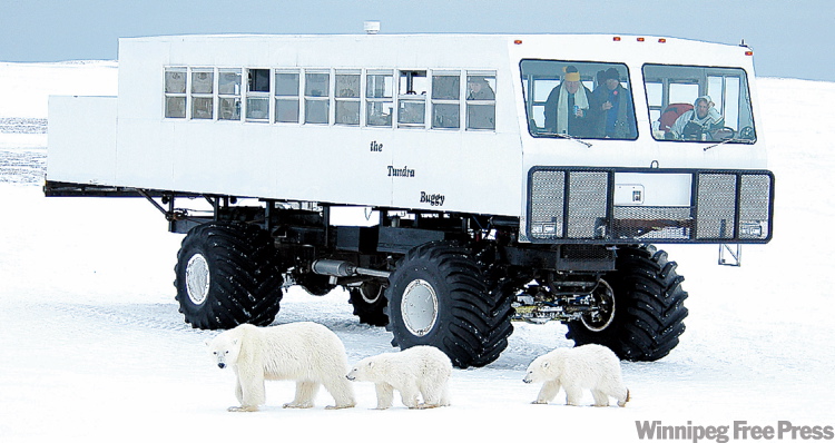 CANWEST NEWS SERVICE ARCHIVES
Polar bear sightings near Hudson Bay should rise as sea ice continues to melt, scientists say.