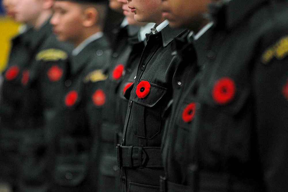 Digital poppies are meant to complement, not replace, lapel poppies. (Phil Hossack / Winnipeg Free Press)