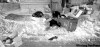 TREVOR HAGAN / WINNIPEG FREE PRESS
Some residents have not caught on to the new automated garbage collection system introduced in northwest Winnipeg.