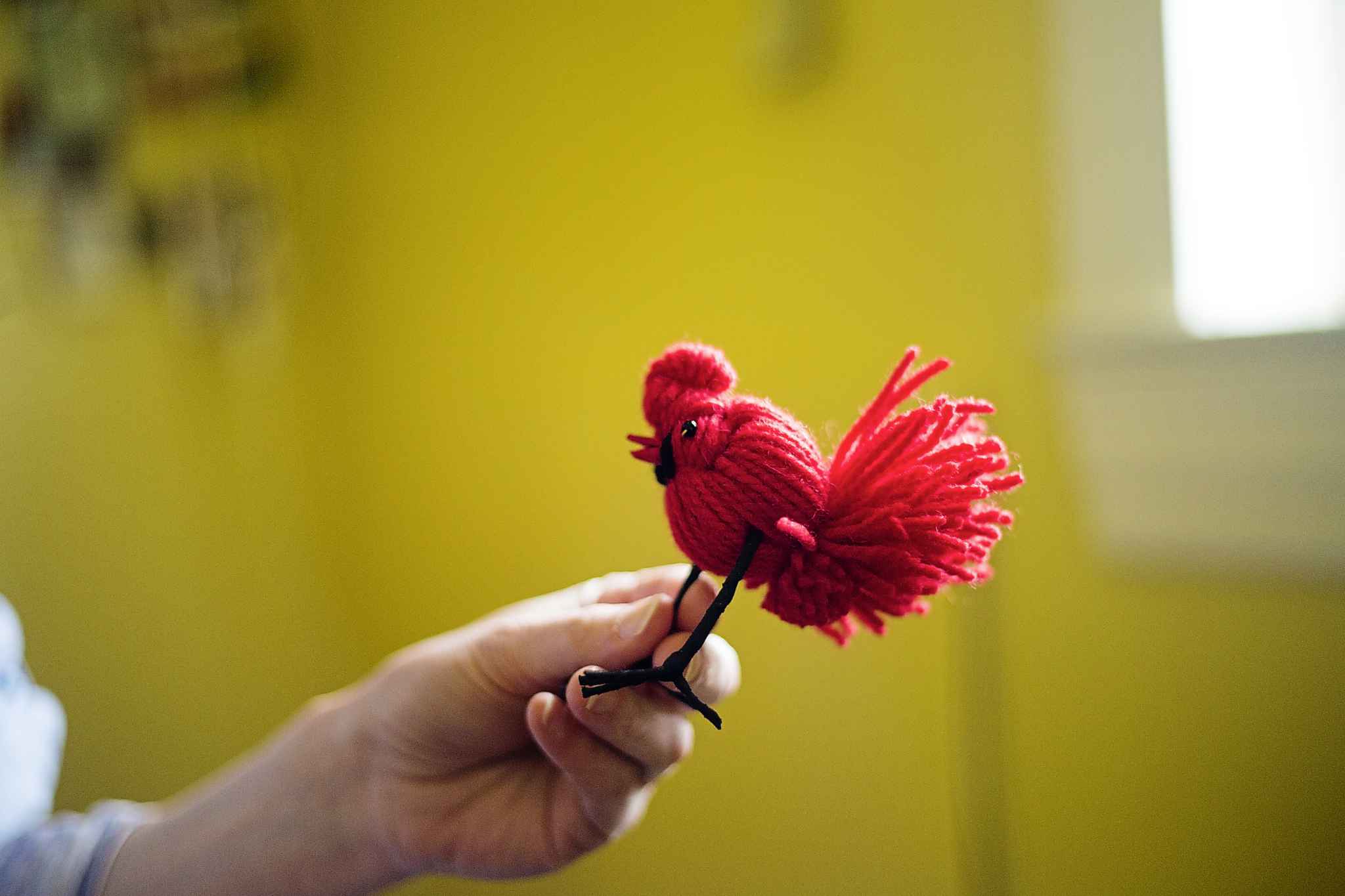 For the birds Winnipeg Free Press