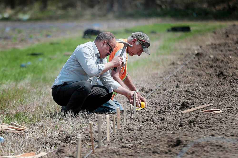 PHIL HOSSACK / WINNIPEG FREE PRESS
Dozens of Yazidi men, women and children and volunteers have planted nearly 8,000 seedlings on land owned by Bo Wohlers.