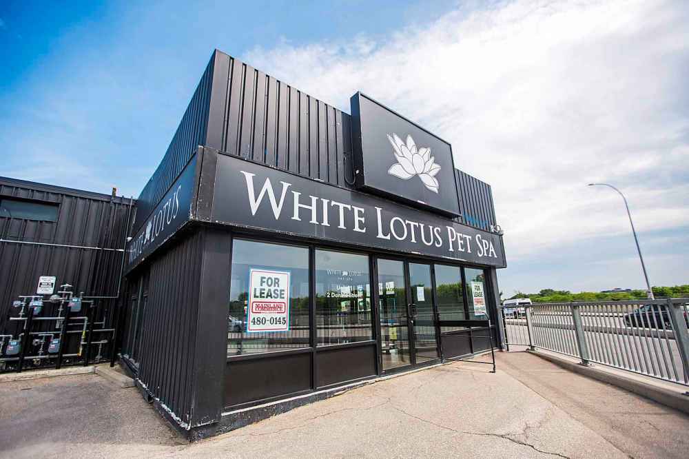 MIKAELA MACKENZIE / WINNIPEG FREE PRESS
The recently closed White Lotus Pet Spa on Donald in Winnipeg on Monday, July 8, 2019.
Winnipeg Free Press 2019.