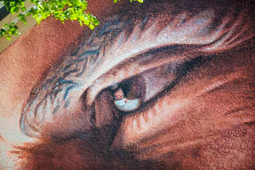 MIKAELA MACKENZIE / WINNIPEG FREE PRESS
“I hope they change their minds,” says mural artist Charlie Johnston. “It’s sad when pieces, their lives, get cut short prematurely.”