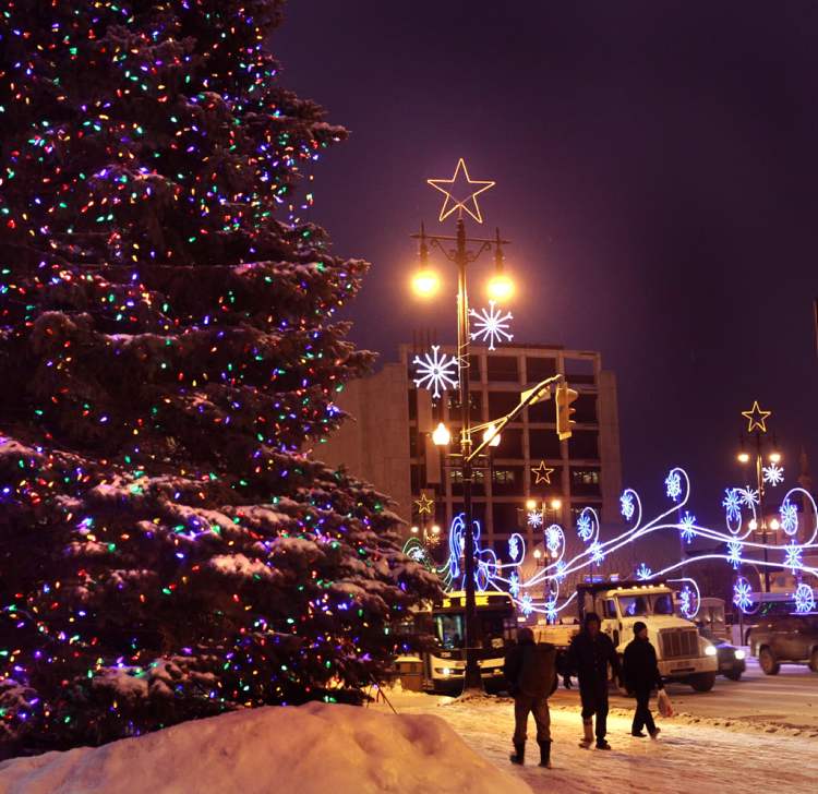 Christmas tree needed for city hall Winnipeg Free Press